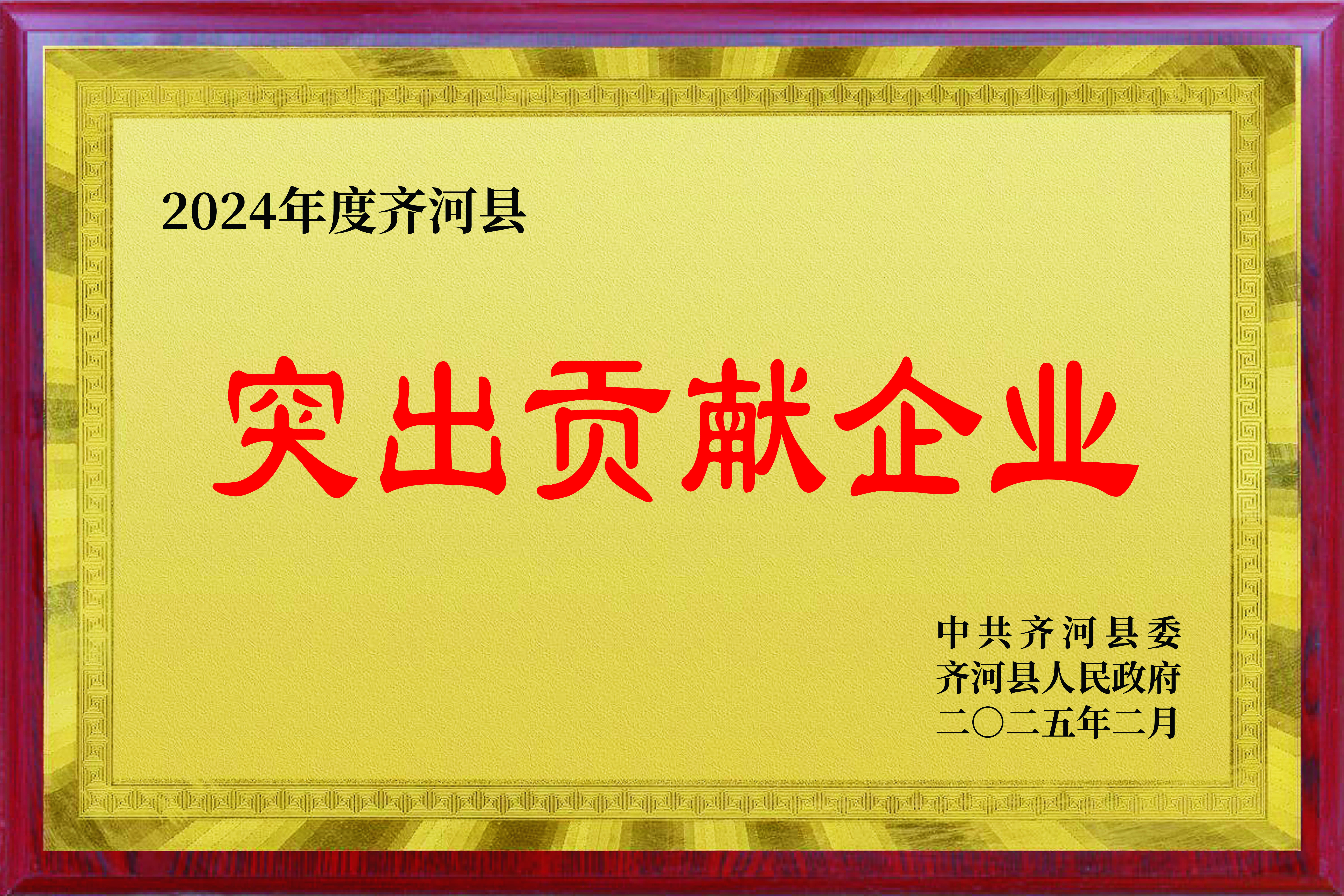 2024年度齊河縣突出貢獻(xiàn)企業(yè)